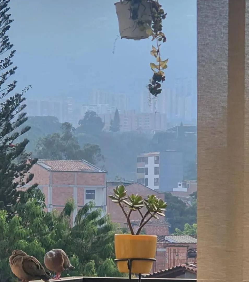 Homestay Habitacion En Apartamento Compartido En Envigado